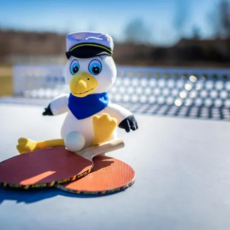 Lagovida Dünenhaus Comfort F Am Störmthaler Ferienhaus *